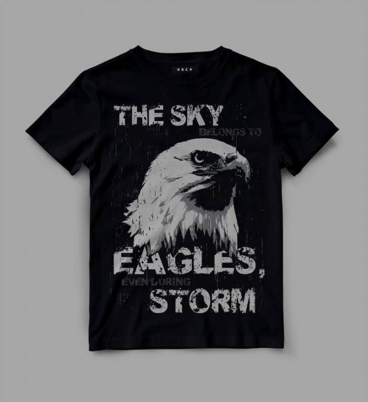 Eagle sky storm t shirt designs for printify