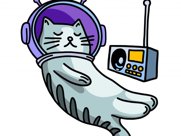 Sleeping cat in space with music. vector t-shirt design