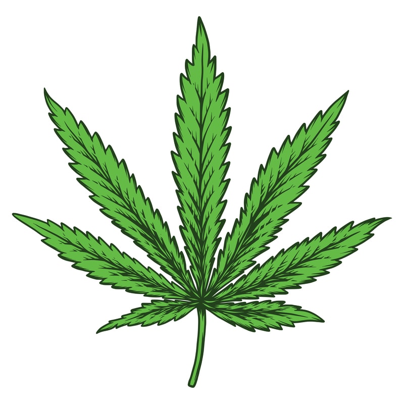 Cannabis leaf. Vector T-Shirt Design - Buy t-shirt designs