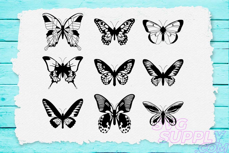 Free Free Butterfly Svg Shirt 149 SVG PNG EPS DXF File