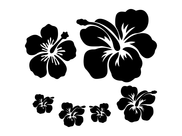 Flower Cutout PNG Transparent Images Free Download, Vector Files