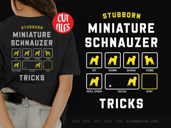 schnauzer stubborn