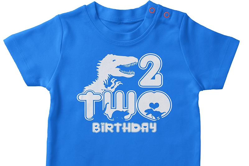 Rex Svg 2nd Birthday Svg Dinosaurus t-rex Birthday Svg - Buy t-shirt ...