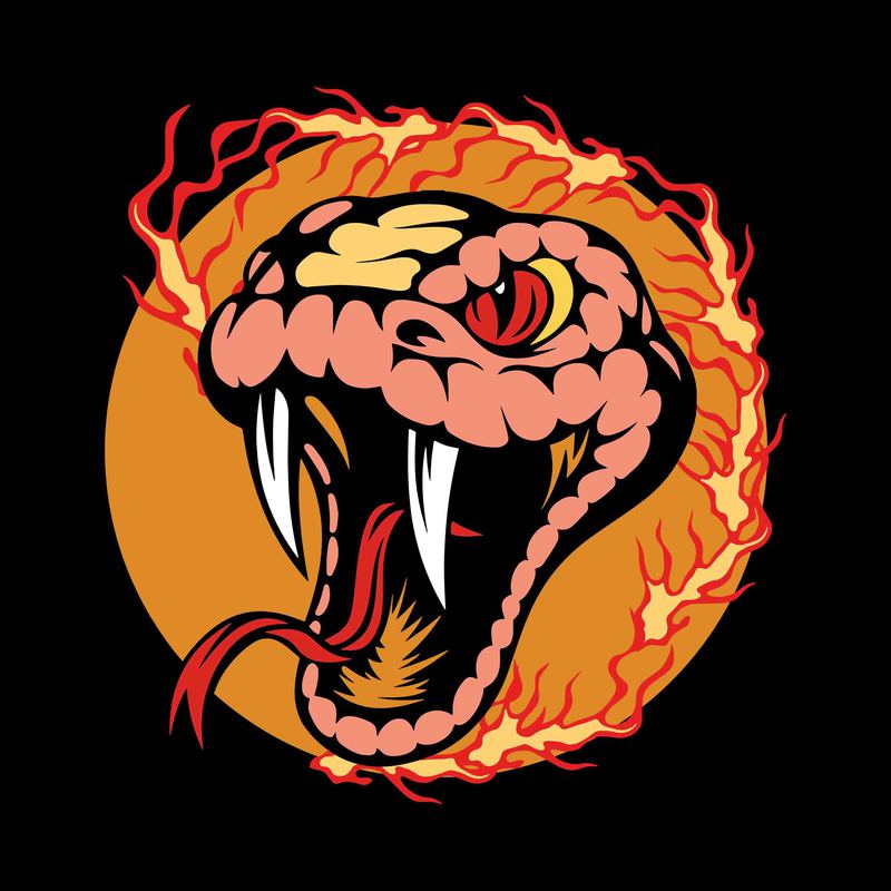 Free Snake face vector, angry snake face t-shirt design template, angry snakes t shirt template vector