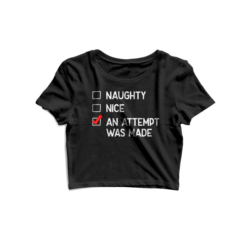 Nice , Naughty, Attempt was made | Cool t shirt design for sale