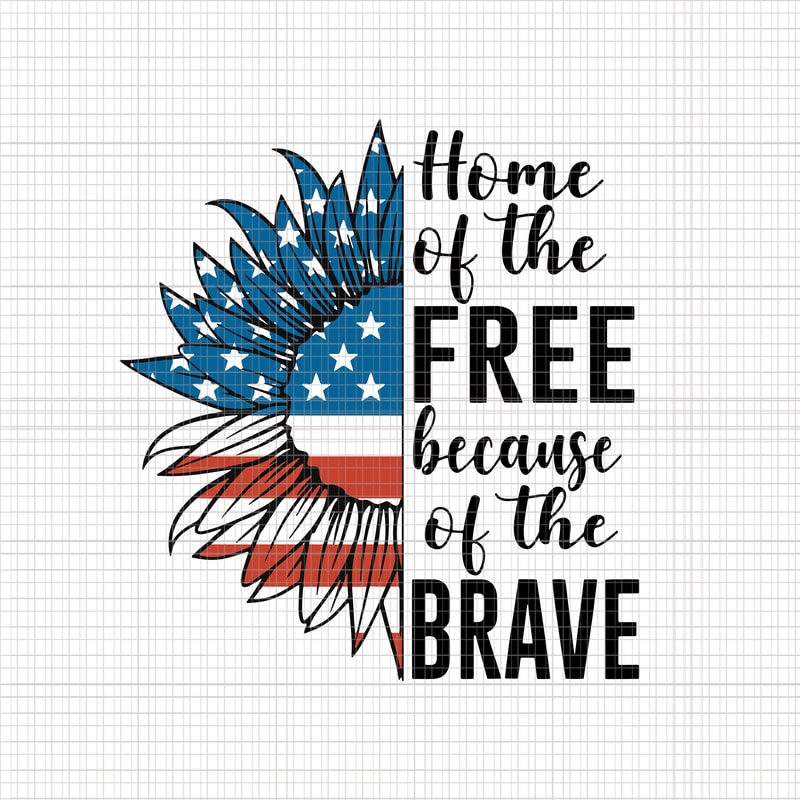 4th of july home of the free because of the brave