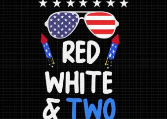 Red White & Two 4th of July SVG, Red White & Two SVG, 4th of July svg, Red White & Two 2nd Birthday 4th Of July, 4th of July vector