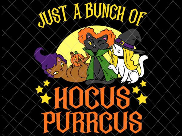 Just a bunch of hocus purrcus svg, cute kitty witch svg, cat witch svg, funny cat halloween svg vector clipart