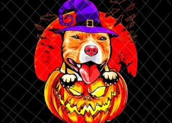 Pitbull Witch Pumpkin Halloween Png, Love Dog Halloween Png, Pitbull Halloween Png, Dog Witch Png t shirt illustration