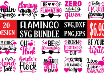 Flamingo svg bundle t shirt graphic design