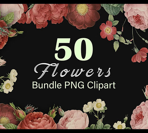 Printable flowers. 50 vintage colorful flower clipart bundle – transparent background png files. png flowers. transparent background flowers t shirt illustration