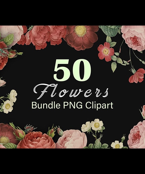 Printable Flowers. 50 Vintage Colorful Flower Clipart Bundle – Transparent Background PNG Files. PNG Flowers. Transparent Background Flowers