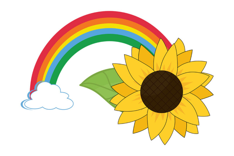 Rainbow Sunflower