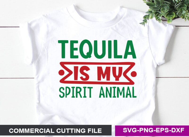 Cinco De Mayo SVG T shirt Design Bundle 15 Design