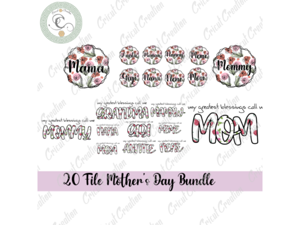 Mother’s day, 20 file mother day rainbow leopard bundle diy crafts, flower backgorund png files, family members silhouette files, trending cameo htv prints t shirt designs for sale