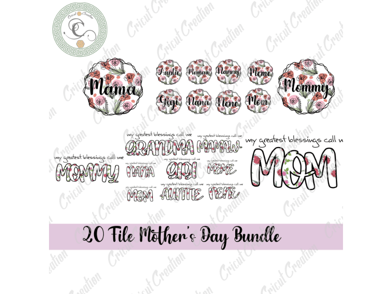 Mother’s Day, 20 file Mother day rainbow leopard Bundle Diy Crafts, flower backgorund PNG files, family members Silhouette Files, Trending Cameo Htv Prints