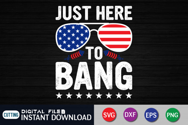 Just Here To Bang SVG Shirt, 4th of July shirt, 4th of July svg quotes, American Flag svg, ourth of July svg, Independence Day svg, Patriotic svg, American Flag SVG,