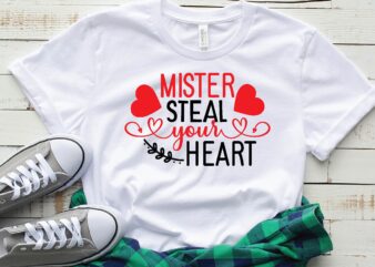 mister steal your heart