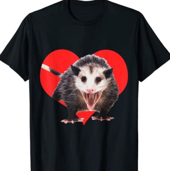 I Love Possums & Opossums - Red Heart Funny Possum Lover T-Shirt - Buy ...