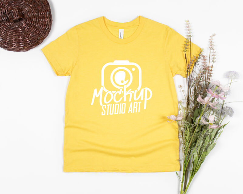 Bella Canvas 3001, T-shirt Mockups, Flat Lay Mockup, 30 Mockups