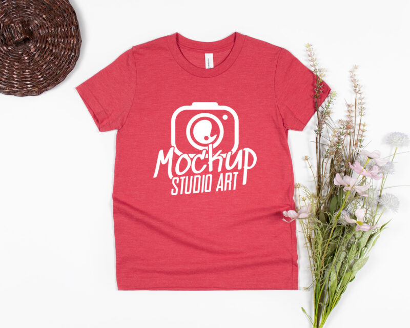 Bella Canvas 3001, T-shirt Mockups, Flat Lay Mockup, 30 Mockups