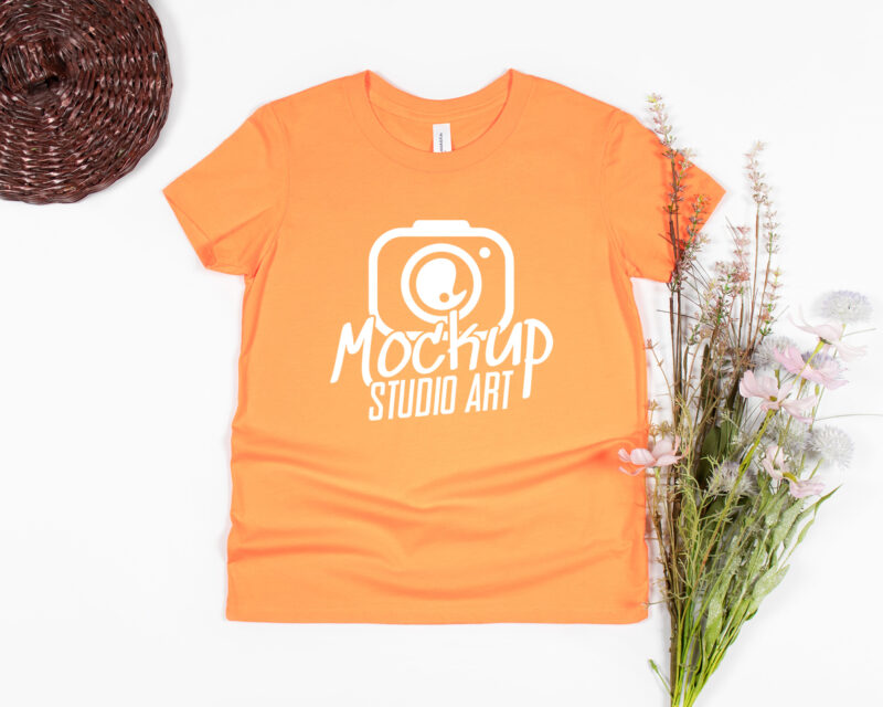 Bella Canvas 3001, T-shirt Mockups, Flat Lay Mockup, 30 Mockups