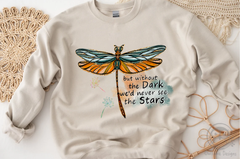 Dragonfly Without The Dark Never See The Star PNG