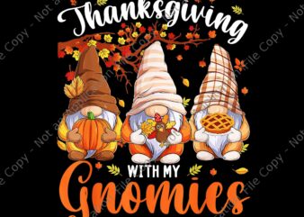Gnomes Happy Thanksgiving Autumn Fall Png, Pumpkin Spice Gnome Png, Gnomes Thanksgiving Day Png, Gnomes Autumn Png