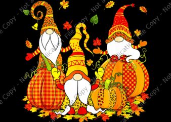 Leopard Pumpkin Print Plaid Gnomes Fall Autumn Thanksgiving Png, Gnome Thanksgiving Day png, Gnome Fall Autumn Png, Gnomes Pumpkin Png t shirt vector graphic