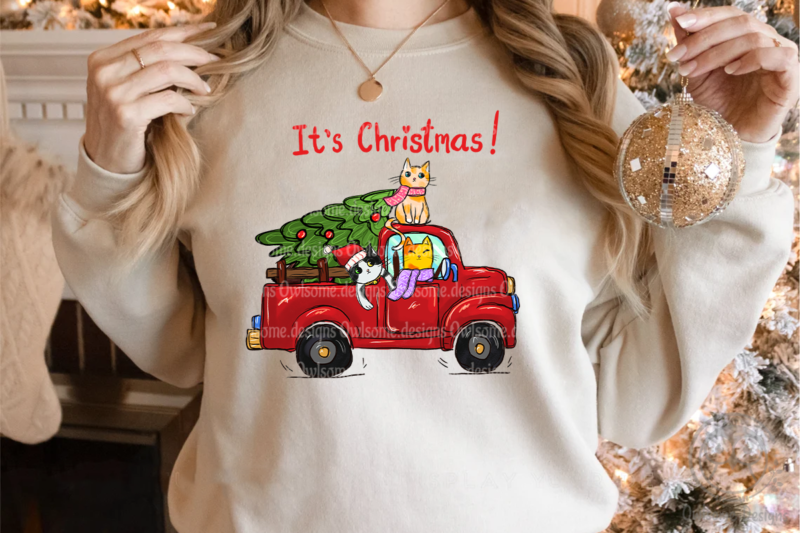 Funny Christmas cat sublimation