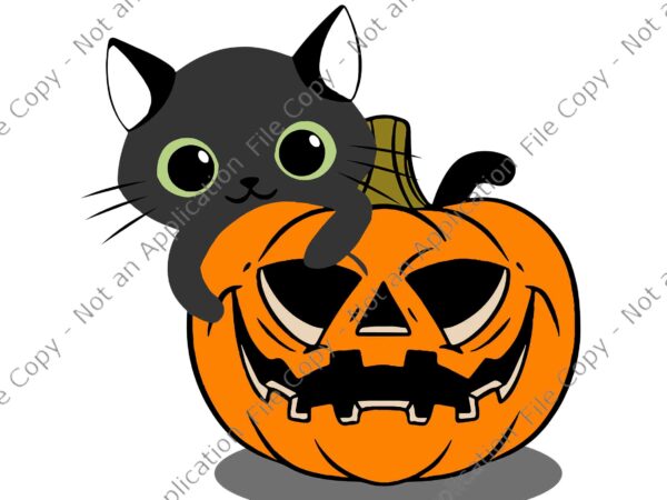 Halloween black cat witch on pumpkin svg, black cat witch svg, black cat halloween svg, halloween svg graphic t shirt