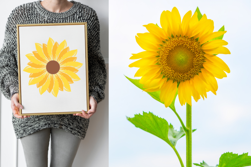 Sunflower Clipart SVG Bundle