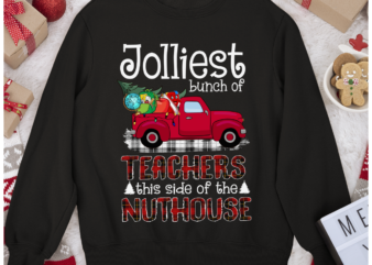 RD Jolliest Bunch Of Teachers This Side Of The Nuthouse School Shirt