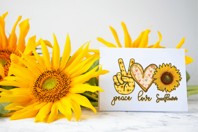 Sunflower Sublimation Bundle