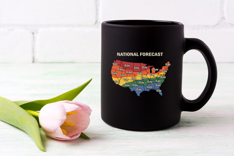 National Forecast Funny Gay Pride Flag LGBTQ American USA NL