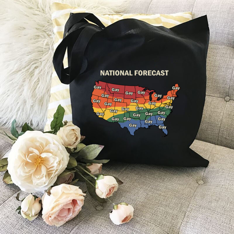 National Forecast Funny Gay Pride Flag LGBTQ American USA NL