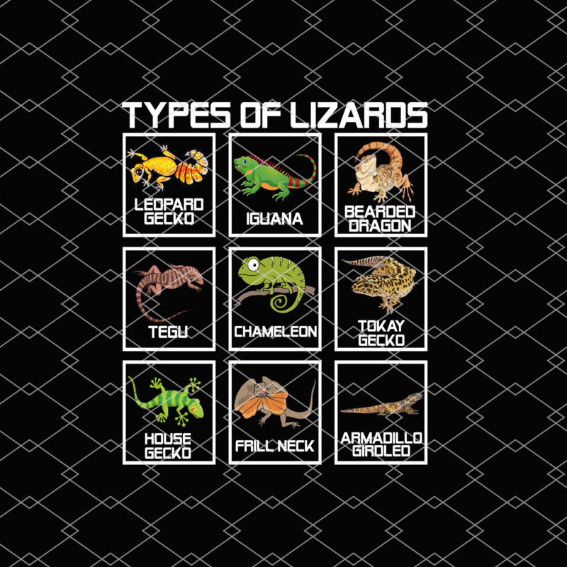 Types of Lizards Lizard Reptiles Lovers Gecko Bearded Dragon NL