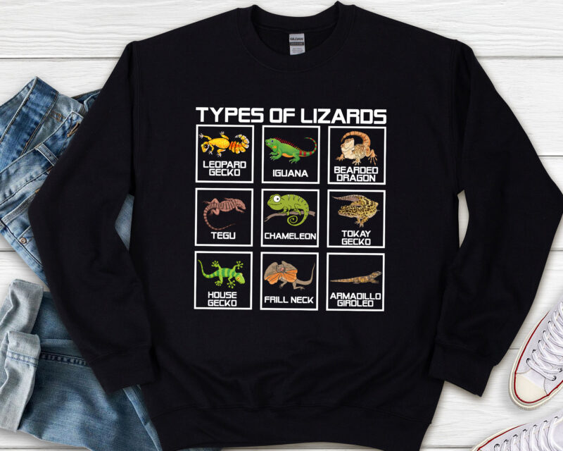 Types of Lizards Lizard Reptiles Lovers Gecko Bearded Dragon NL