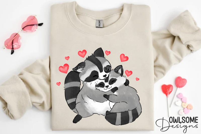 Valentine’s Day Raccoon Couple