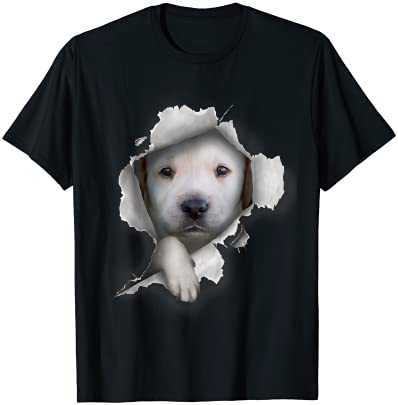 20 Labrador Retriever PNG T-shirt Designs Bundle For Commercial Use ...