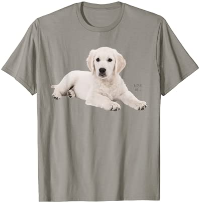 20 Labrador Retriever PNG T-shirt Designs Bundle For Commercial Use ...