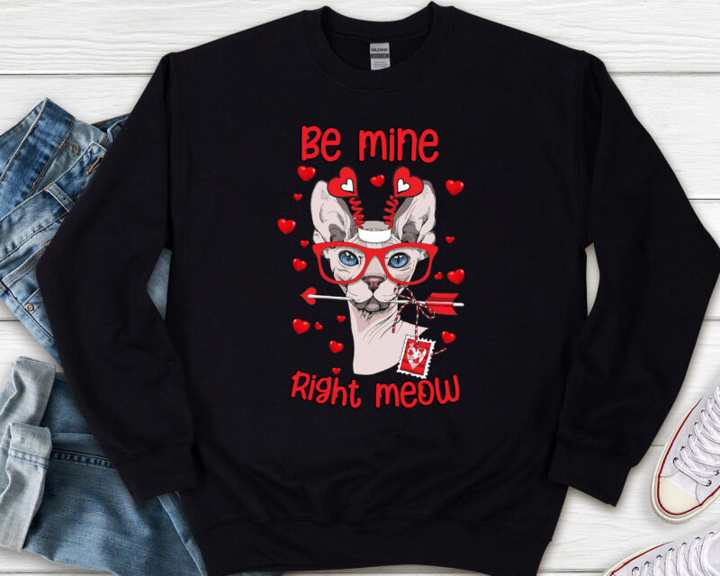 Funny Valentines Be Mine Right Meow Cute Cat Lovers NL