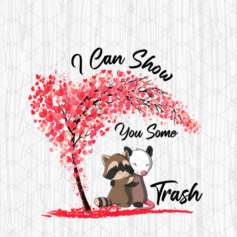 Raccoon Possum Lover T Shirt Design PNG file, I Can Show You Some Trash, Funny Tee Vintage Style Unisex Gamer PNG File PC 2801