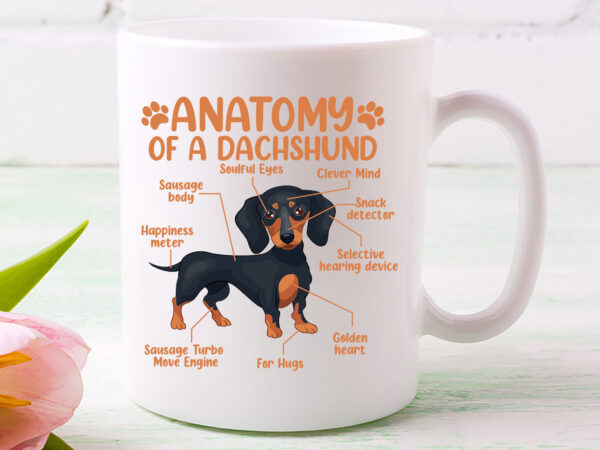Funny anatomy dachshund wiener dog cute doxie lovers nl 0702 t shirt graphic design