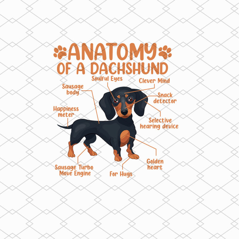 Funny Anatomy Dachshund Wiener Dog Cute Doxie Lovers NL 0702
