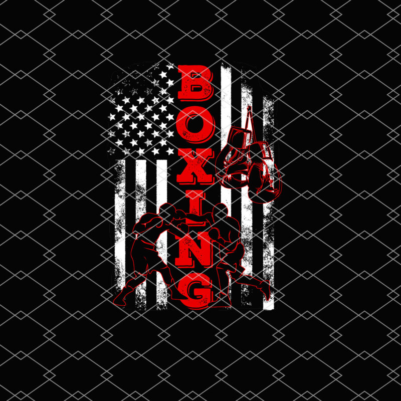 Retro American Boxing Gloves US Flag Boxer American Flag NL 2402