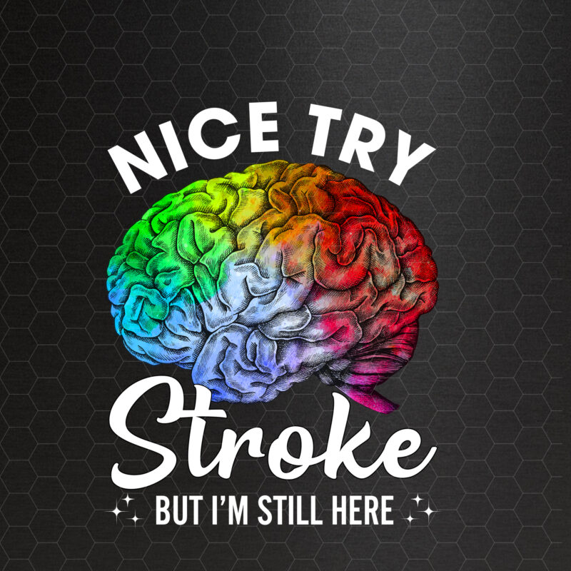 Stroke Survivor Nice Try Stroke Brain Injury Awareness NC 0702