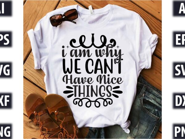 I am why we can t have nice things t shirt design for sale