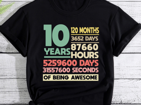 Rd 10th birthday gift boy 10 years being awesome t-shirt