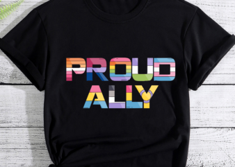 RD Proud Ally Shirt, LGBTQ Month Shirt, Lesbian Gay Bisexual, Trans Pan Queer Gift t shirt design online